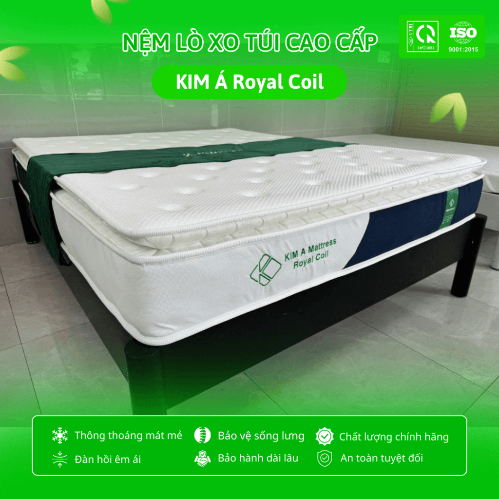 Hình ảnh nệm lò xo chính hãng