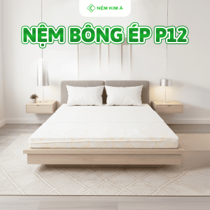 nem-bong-ep-p12-kim-a