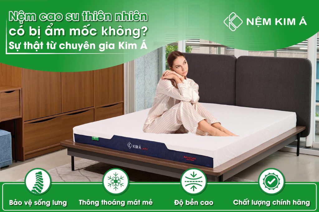 Hình ảnh Nệm Kim Á