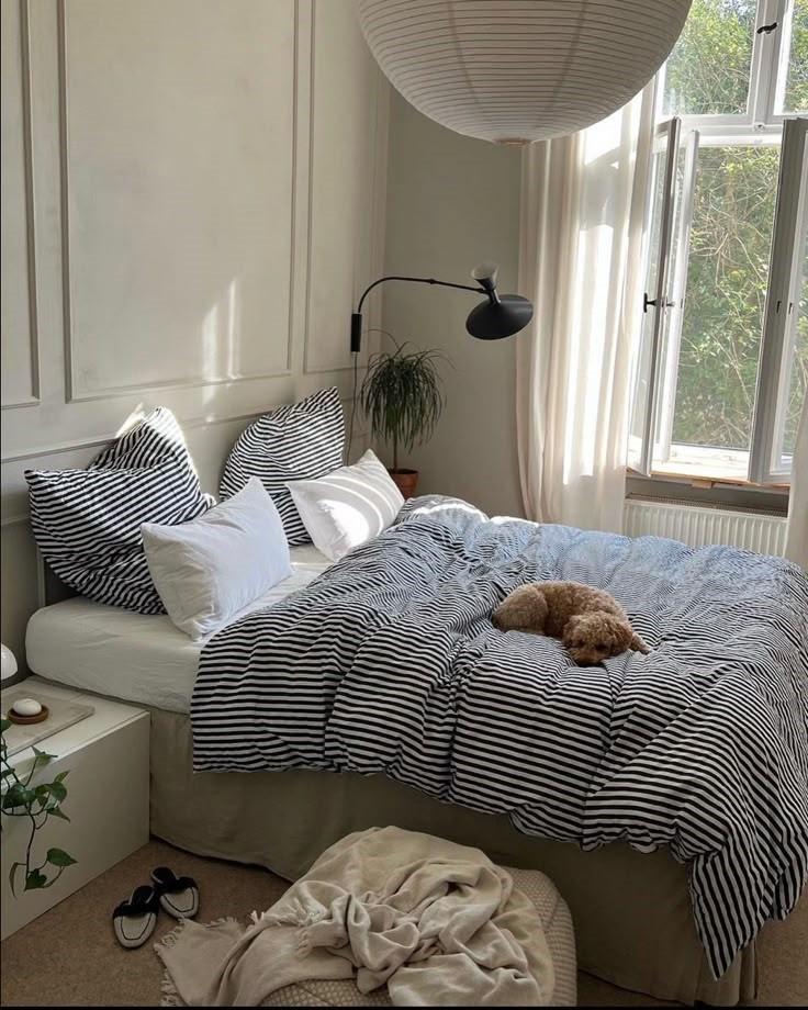 Hình ảnh minh họa