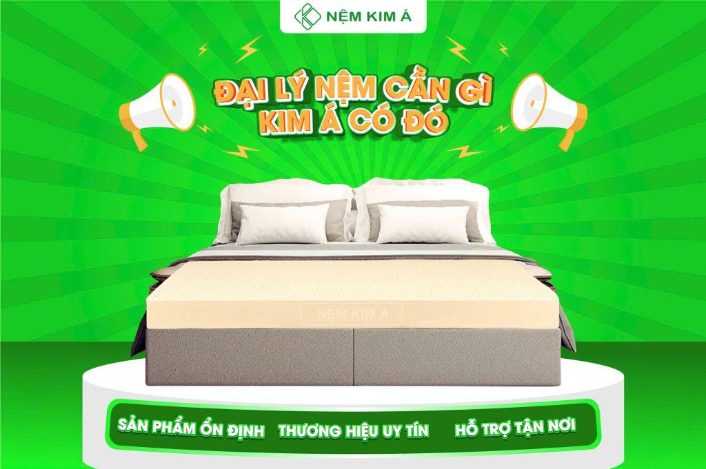 Hình ảnh Nệm Kim Á